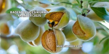 Badem Bahçesi Kurma Maliyeti 2025