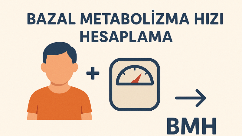 Bazal Metabolizma Hızı Hesaplama