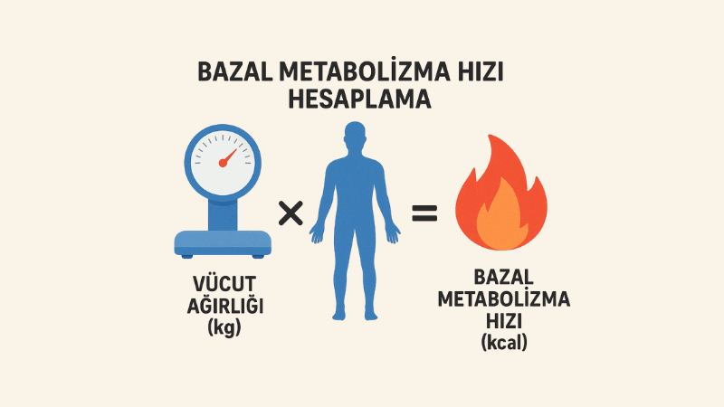 Bazal Metabolizma Hızı Hesaplama