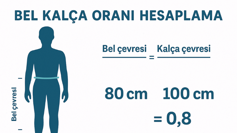 Bel Kalça Oranı Hesaplama
