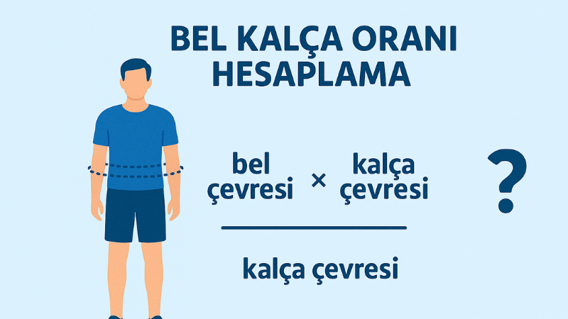 Bel Kalça Oranı Hesaplama