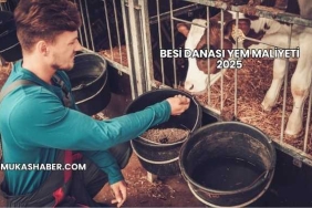 Besi Danası Yem Maliyeti 2025