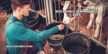 Besi Danası Yem Maliyeti 2025