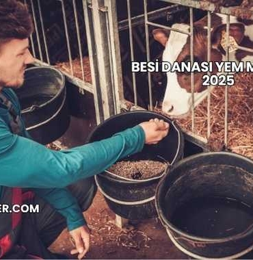 Besi Danası Yem Maliyeti 2025