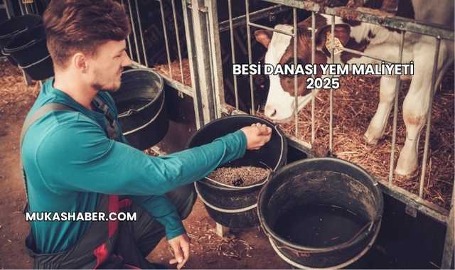Besi Danası Yem Maliyeti 2025