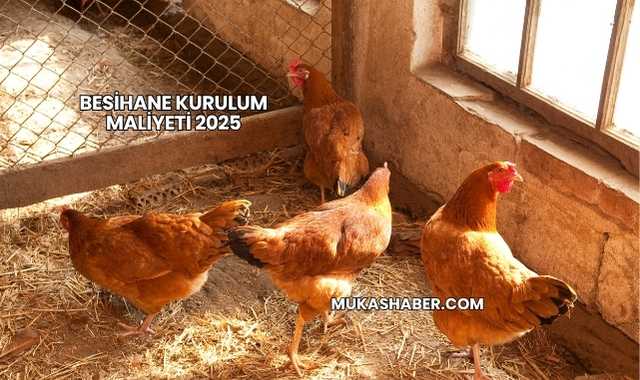 Besihane Kurulum Maliyeti 2025
