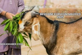 Besihane Kurulum Maliyeti 2025