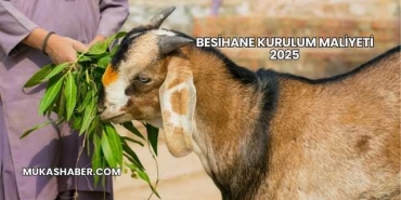 Besihane Kurulum Maliyeti 2025