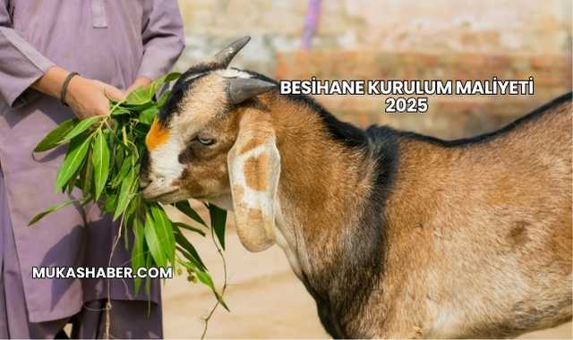 Besihane Kurulum Maliyeti 2025
