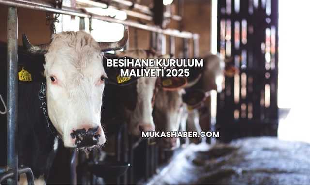 Besihane Kurulum Maliyeti 2025