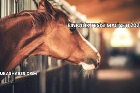 Binicilik Tesisi Maliyeti 2025