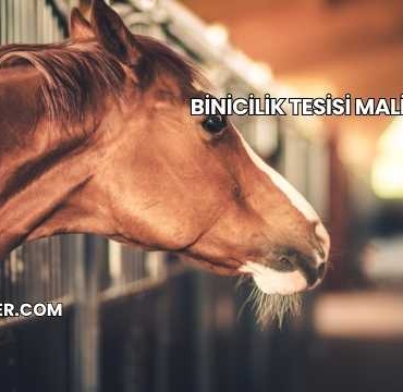 Binicilik Tesisi Maliyeti 2025