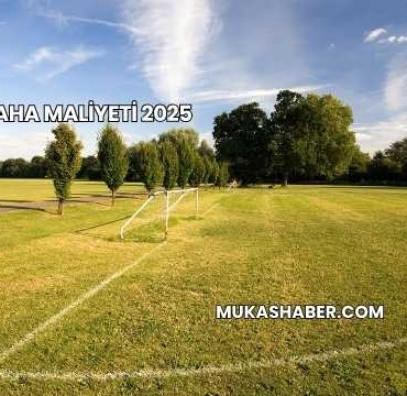 Bir Halı Saha Maliyeti 2025