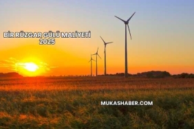Bir Rüzgar Gülü Maliyeti 2025