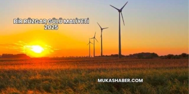 Bir Rüzgar Gülü Maliyeti 2025