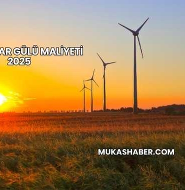 Bir Rüzgar Gülü Maliyeti 2025