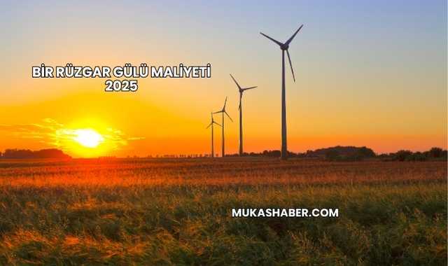 Bir Rüzgar Gülü Maliyeti 2025