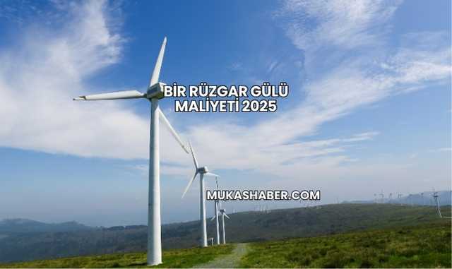 Bir Rüzgar Gülü Maliyeti 2025