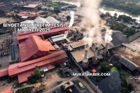 Biyoetanol Üretim Tesisi Maliyeti 2025