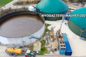 Biyogaz Tesisi Maliyeti 2025