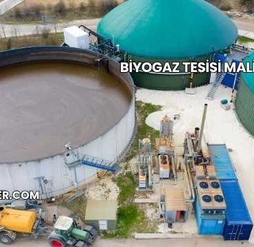 Biyogaz Tesisi Maliyeti 2025