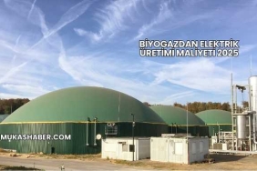 Biyogazdan Elektrik Üretimi Maliyeti 2025
