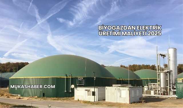 Biyogazdan Elektrik Üretimi Maliyeti 2025