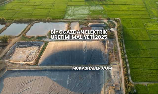 Biyogazdan Elektrik Üretimi Maliyeti 2025