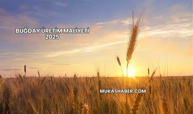 Buğday Üretim Maliyeti 2025