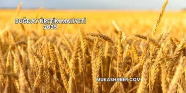 Buğday Üretim Maliyeti 2025