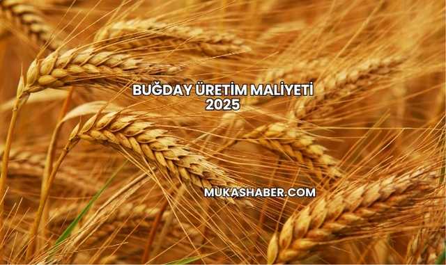Buğday Üretim Maliyeti 2025