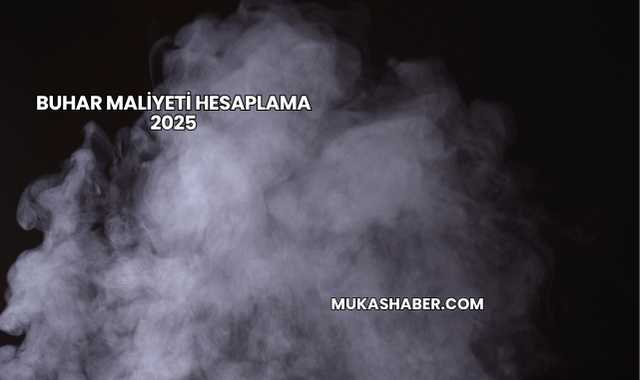Buhar Maliyeti Hesaplama 2025