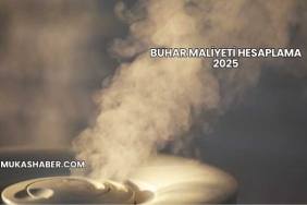 Buhar Maliyeti Hesaplama 2025