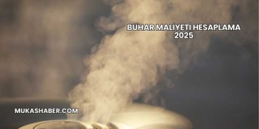 Buhar Maliyeti Hesaplama 2025