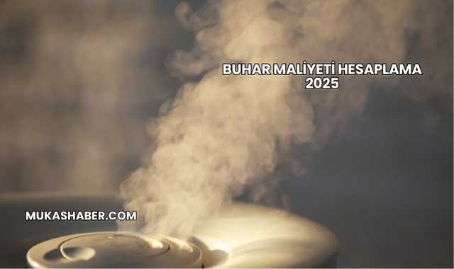 Buhar Maliyeti Hesaplama 2025