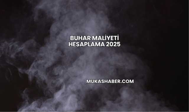 Buhar Maliyeti Hesaplama 2025