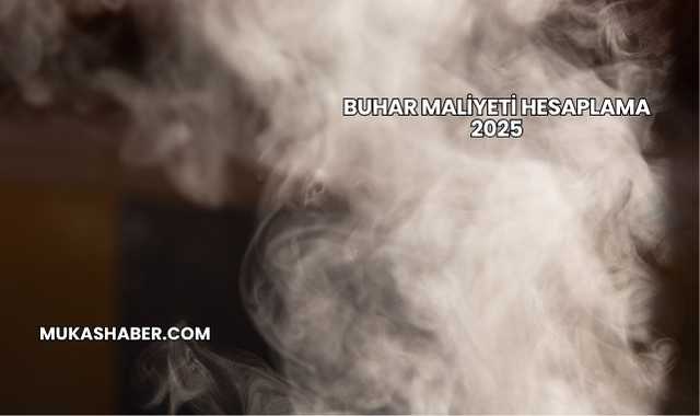 Buhar Maliyeti Hesaplama 2025
