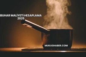Buhar Maliyeti Hesaplama 2025