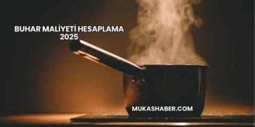 Buhar Maliyeti Hesaplama 2025