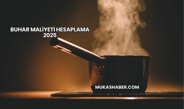Buhar Maliyeti Hesaplama 2025