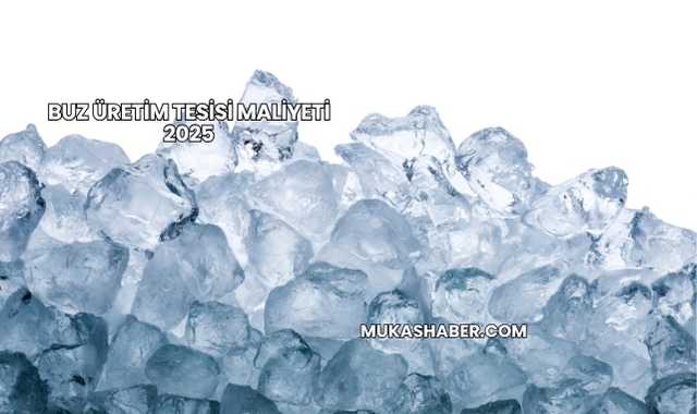 Buz Üretim Tesisi Maliyeti 2025