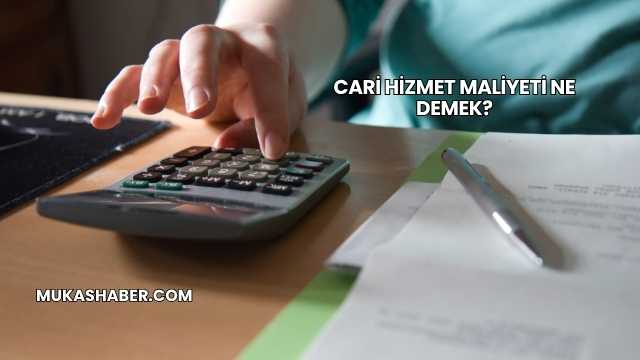 Cari Hizmet Maliyeti Ne Demek?