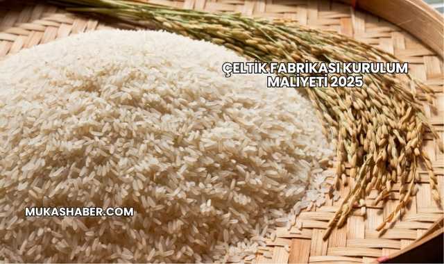 Çeltik Fabrikası Kurulum Maliyeti 2025