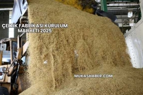 Çeltik Fabrikası Kurulum Maliyeti 2025