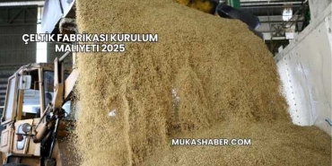 Çeltik Fabrikası Kurulum Maliyeti 2025