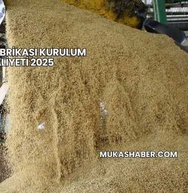 Çeltik Fabrikası Kurulum Maliyeti 2025