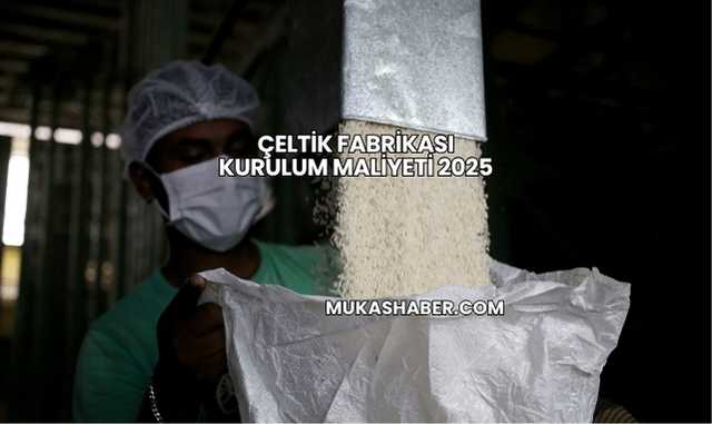 Çeltik Fabrikası Kurulum Maliyeti 2025