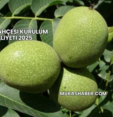 Ceviz Bahçesi Kurulum Maliyeti 2025