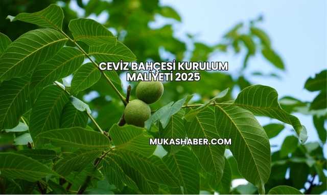 Ceviz Bahçesi Kurulum Maliyeti 2025
