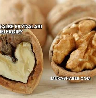 Cevizin Kalbe Faydaları Nelerdir?